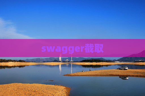 swagger截取